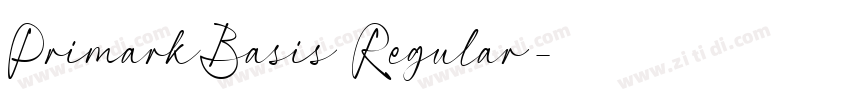 PrimarkBasis Regular字体转换